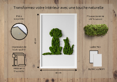 Quadro de musgo Cachorro com gato