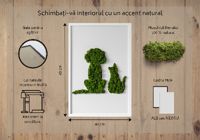 Quadro de musgo Cachorro com gato