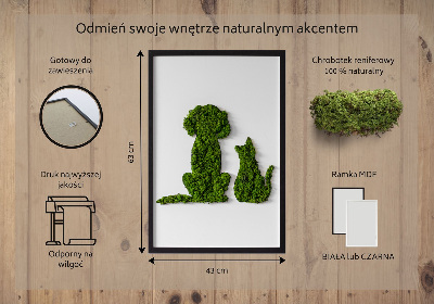 Quadro de musgo Cachorro com gato