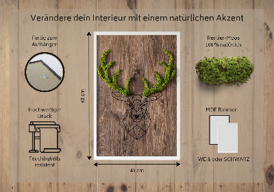 Quadro de musgo Cabeça de veado em um fundo de madeira