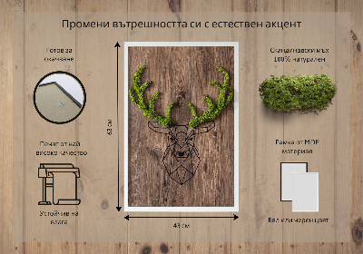 Quadro de musgo Cabeça de veado em um fundo de madeira