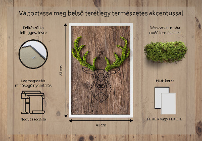 Quadro de musgo Cabeça de veado em um fundo de madeira