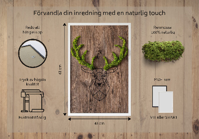 Quadro de musgo Cabeça de veado em um fundo de madeira