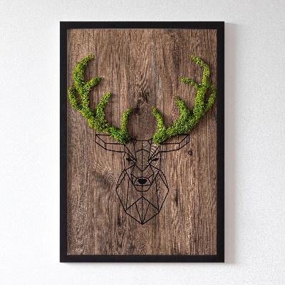 Quadro de musgo Cabeça de veado em um fundo de madeira