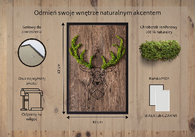 Quadro de musgo Cabeça de veado em um fundo de madeira