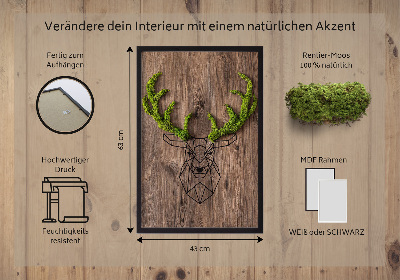 Quadro de musgo Cabeça de veado em um fundo de madeira