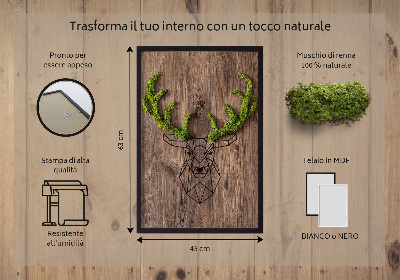 Quadro de musgo Cabeça de veado em um fundo de madeira