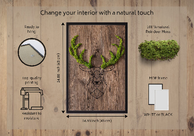 Quadro de musgo Cabeça de veado em um fundo de madeira