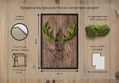 Quadro de musgo Cabeça de veado em um fundo de madeira