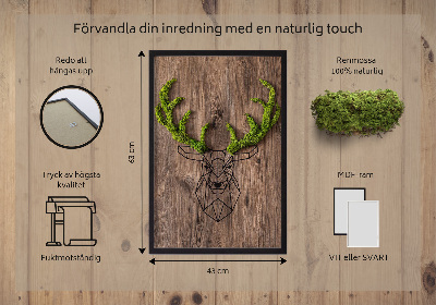 Quadro de musgo Cabeça de veado em um fundo de madeira