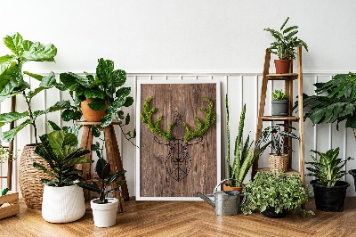 Quadro de musgo Cabeça de veado em um fundo de madeira