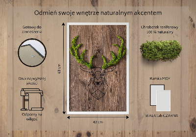 Quadro de musgo Cabeça de veado em um fundo de madeira