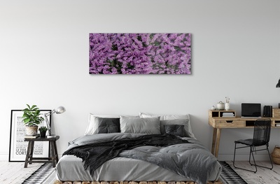 Quadro de vidro Flores roxas