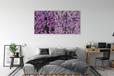 Quadro de vidro Flores roxas