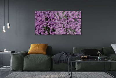 Quadro de vidro Flores roxas