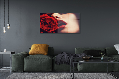 Quadro de vidro Lábios de mulher rosa