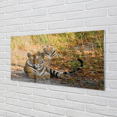 Quadro de vidro Tigres