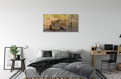 Quadro de vidro Tigres