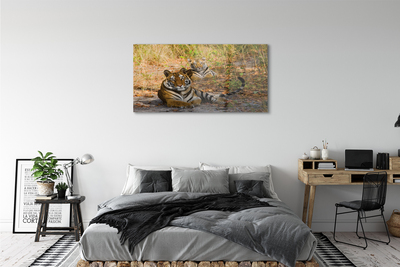 Quadro de vidro Tigres
