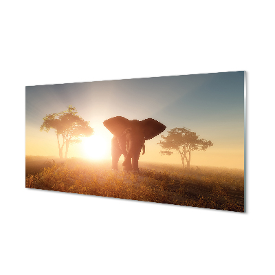 Pintura em vidro Nascer do sol na árvore elefante