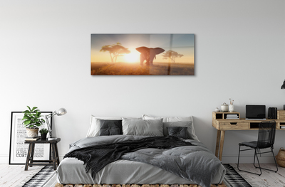 Pintura em vidro Nascer do sol na árvore elefante