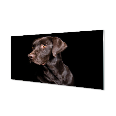 Quadro de vidro Cachorro marrom