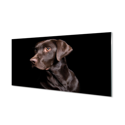 Quadro de vidro Cachorro marrom