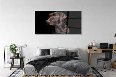 Quadro de vidro Cachorro marrom