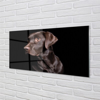 Quadro de vidro Cachorro marrom