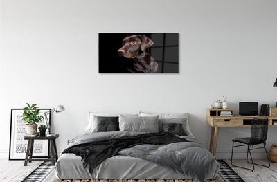 Quadro de vidro Cachorro marrom