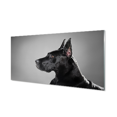 Quadro de vidro Cachorro preto