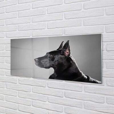 Quadro de vidro Cachorro preto