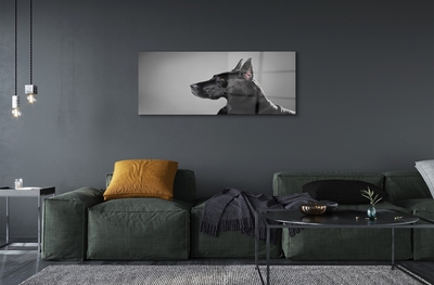 Quadro de vidro Cachorro preto