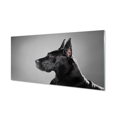 Quadro de vidro Cachorro preto