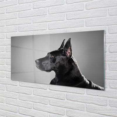 Quadro de vidro Cachorro preto
