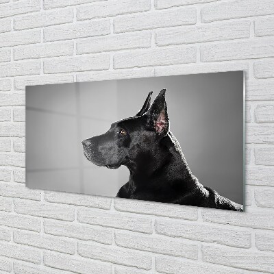 Quadro de vidro Cachorro preto