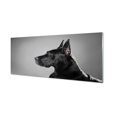 Quadro de vidro Cachorro preto