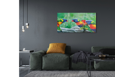 Quadro de vidro Árvore papagaio colorida