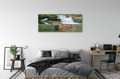 Quadro de vidro Cachoeira do Tigre