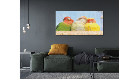 Pintura em vidro Papagaios coloridos