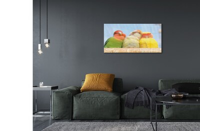 Pintura em vidro Papagaios coloridos