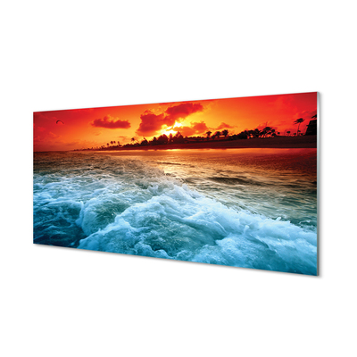 Quadro de vidro Pôr do sol no mar de árvores