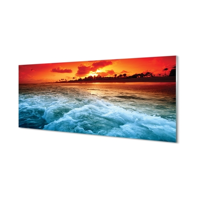 Quadro de vidro Pôr do sol no mar de árvores