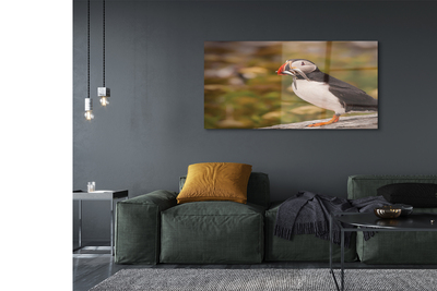 Quadro de vidro Papagaio