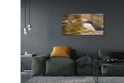 Quadro de vidro Papagaio