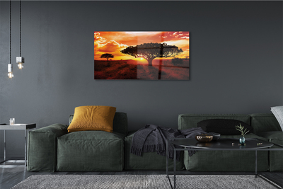 Pintura em vidro Árvores nuvens pôr do sol