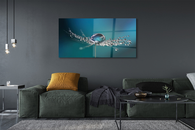 Quadro de vidro Macro de gotas de dente-de-leão