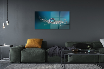 Quadro de vidro Macro de gotas de dente-de-leão