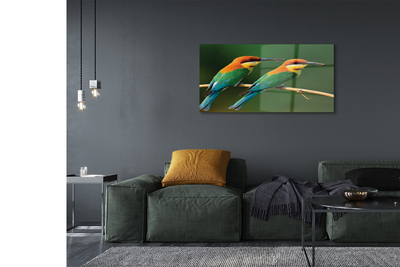 Quadro de vidro Papagaios coloridos em um galho