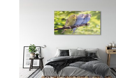 Pintura em vidro Papagaios coloridos em um galho